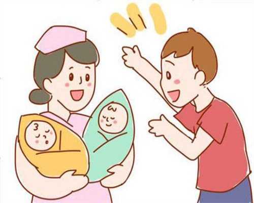 2026年供卵试管排队时间与费用全解析